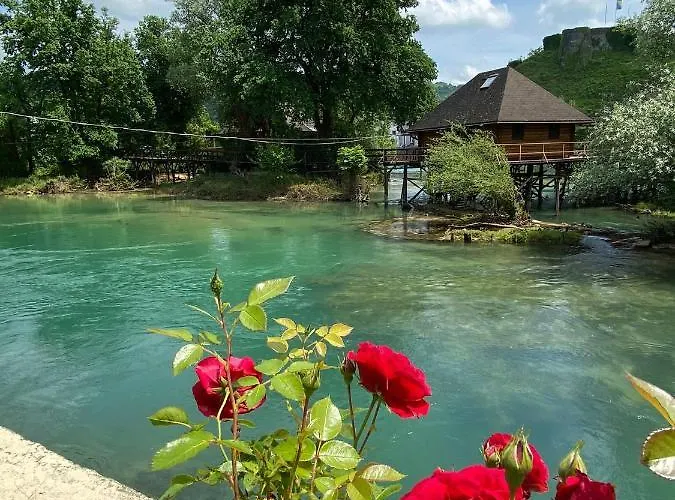 보산스카 크루파 River Heaven 아파트 사진