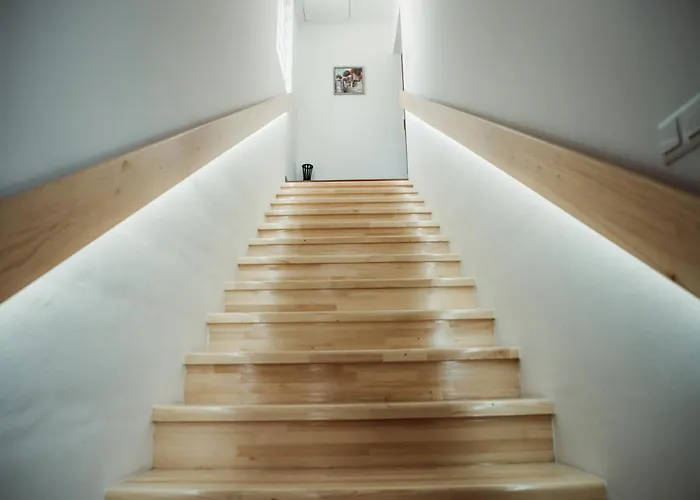 Forest Bath Cajniceの写真